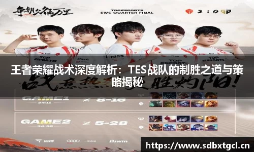 王者荣耀战术深度解析：TES战队的制胜之道与策略揭秘